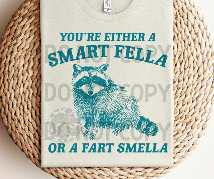 Smart Fella or Fart Smella